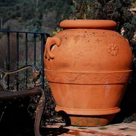 Conca Di Sopra Home Corsanico-Bargecchia Екстер'єр фото